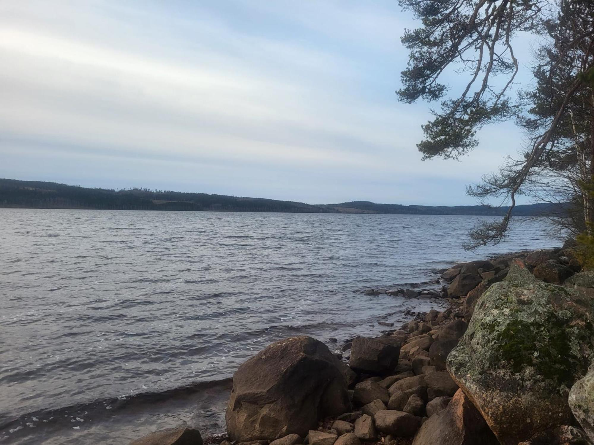 Puur-Joanna Retreats En B&B Hoje Exteriör bild